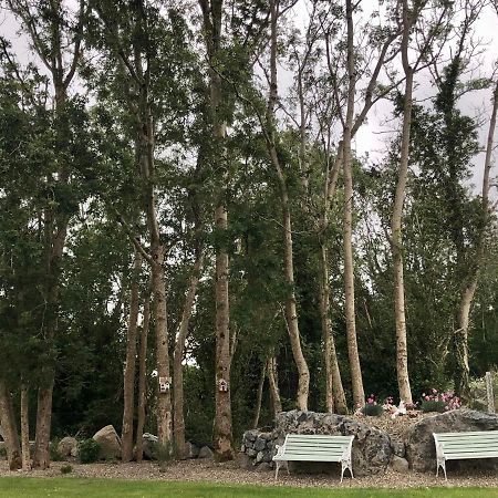 Tir Na Spideoga Villa Ennis Dış mekan fotoğraf