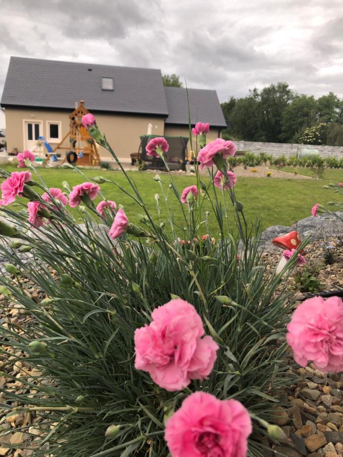 Tir Na Spideoga Villa Ennis Dış mekan fotoğraf