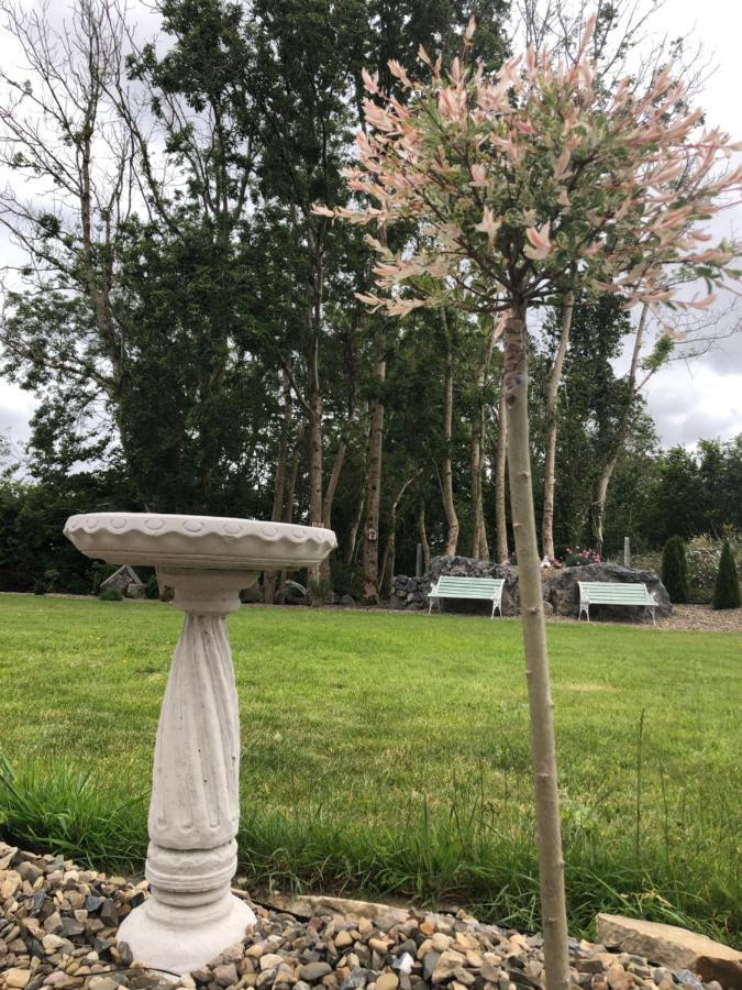 Tir Na Spideoga Villa Ennis Dış mekan fotoğraf