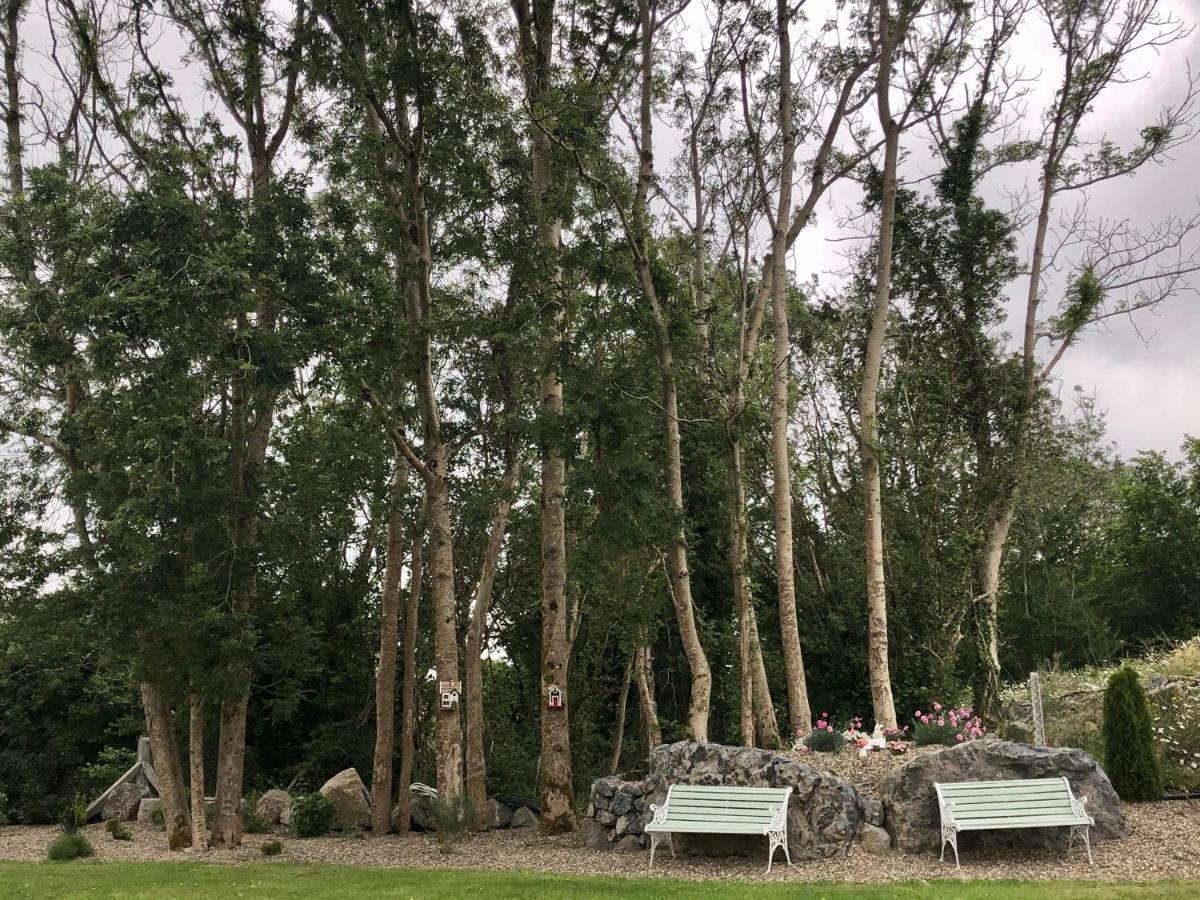 Tir Na Spideoga Villa Ennis Dış mekan fotoğraf